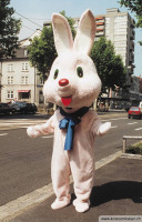 Duracellhase